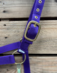Purple Nylon Horse Halter NHPUR