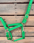 Lime Nylon Horse Halter NHNGN
