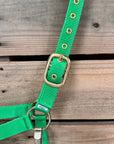 Lime Nylon Horse Halter NHNGN
