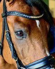 Halter Ego® Crystal Patent Browband - Dusk To Dawn