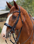 Halter Ego® Crystal Patent Browband - Caramel Honey