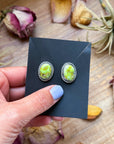 Sterling Silver Palomino Variscite Stud Earrings, Artist Jason Ogg
