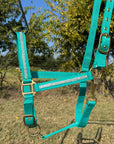 Teal Bling Nylon Horse Halter BNHTEAL