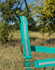 Teal Bling Nylon Horse Halter BNHTEAL