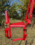 Red Bling Nylon Horse Halter BNHRED
