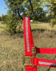 Red Bling Nylon Horse Halter BNHRED