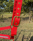 Red Bling Nylon Horse Halter BNHRED