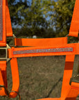 Orange Bling Nylon Horse Halter BNHORA