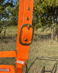Orange Bling Nylon Horse Halter BNHORA