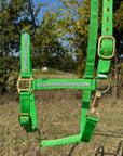 Lime Bling Nylon Horse Halter BNHNGN