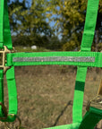 Lime Bling Nylon Horse Halter BNHNGN