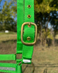 Lime Bling Nylon Horse Halter BNHNGN