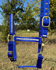 Blue Bling Nylon Horse Halter BNHBLUE