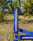 Blue Bling Nylon Horse Halter BNHBLUE
