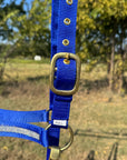 Blue Bling Nylon Horse Halter BNHBLUE