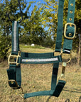 Hunter Green Bling Nylon Horse Halter BNHGRN
