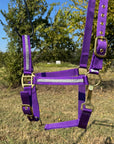 Purple Bling Nylon Horse Halter BNHPUR