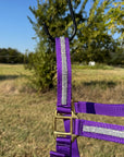 Purple Bling Nylon Horse Halter BNHPUR