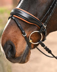 The Tuscany Black Leather Rolled Leather Snaffle Bridle with Removable Flash