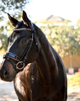 The Palermo Black Patent Leather Snaffle with Brown Padding