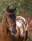 Aspen Leather Snaffle Bridle with Removable Flash