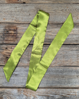 Light Green Western Skinny Mini Wild Rag Scarf / Cowgirl Necktie