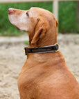 Halter Ego® Brown Patent Florence Dog Leash