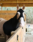 AJ Tack Full Zip Lycra Hood