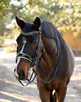 The Harlow Black Rolled Leather Double Bridle