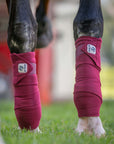 AJ Tack Polo Wraps - 12 ft - Pack of 4