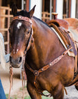 Zebra Jet and Topaz Browband / Breastcollar Tack Set