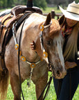 White Leather Turquoise Sunflower One Ear/ Breastcollar Tack Set