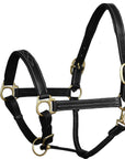 ExionPro Triple Stitched Leather Halter - Brass Hardware