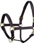 ExionPro Triple Stitched Leather Halter - Brass Hardware
