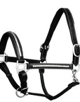 ExionPro Clincher Leather Halter - Brass Nickel Hardware
