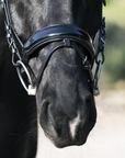 Vento Black Patent Snaffle Bridle