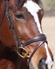 ExionPro Anatomical Dressage Bridle with Reins
