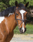 ExionPro Designer Fancy Stitched Figure 8 English Bridle With Rubber Reins