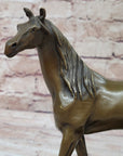 Western Bronze ART France warm-blooded fine horse Animals statue Figurine Figure