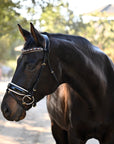 Taos Black Patent Leather Snaffle Bridle