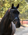 The Eiffel Tower Black Leather Snaffle Bridle