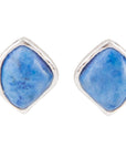Abstract Blue Lapis and Sterling Silver Post Earrings