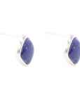 Abstract Blue Lapis and Sterling Silver Post Earrings