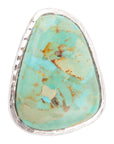 Abstract Blue Turquoise and Sterling Silver Ring