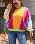 Rose Red Plus Size Colorblock Patchwork Exposed Seam Sweatshirt