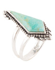 Anemone Blue Turquoise and Sterling Silver Statement Ring