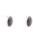 Black Onyx Post Earrings