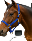 Blue Nylon Horse Halter NHBLUE