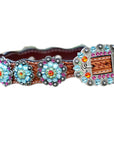 Rainbow Bridge Dog Collar
