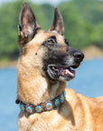 Rainbow Bridge Dog Collar